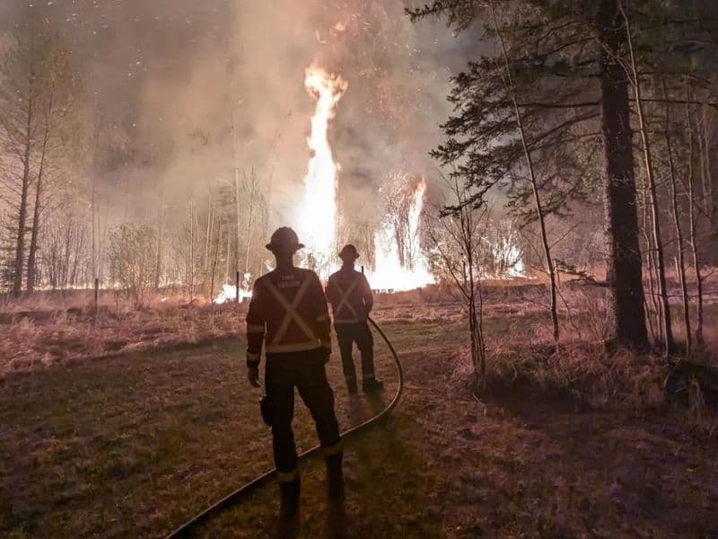 Two firefighters working a forest fire. Two firefighters working a forest fire.