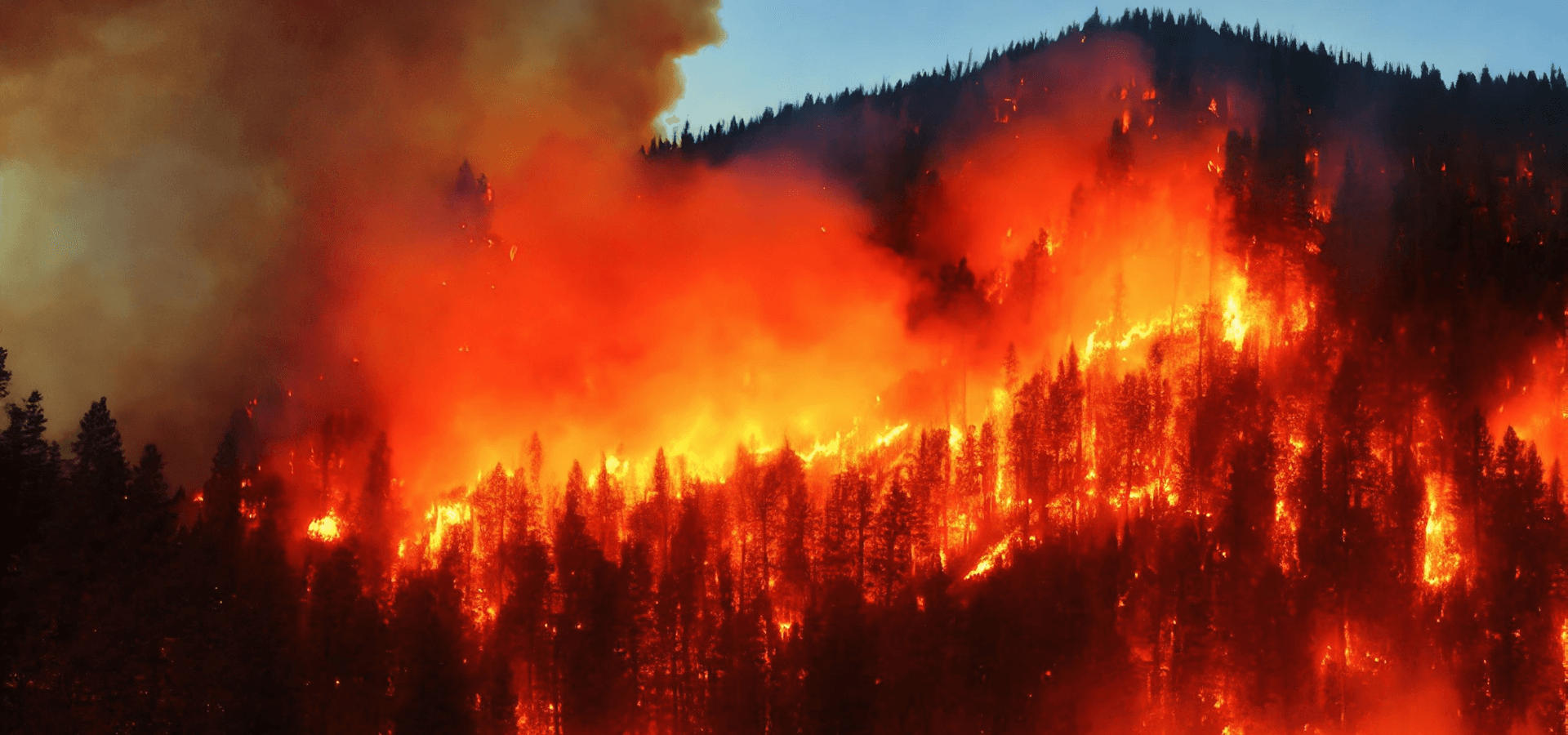 Forest fire on the side of a mountain. Forest fire on the side of a mountain.