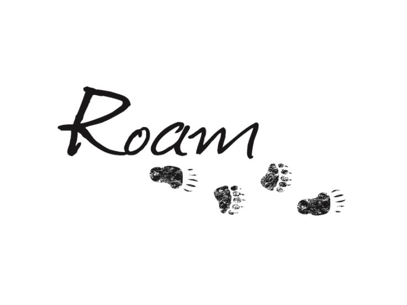 ROAM Transportation Logo ROAM Transportation Logo