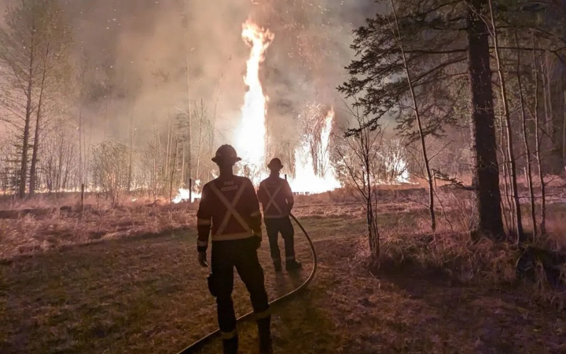 Wildfire service workers Wildfire service workers